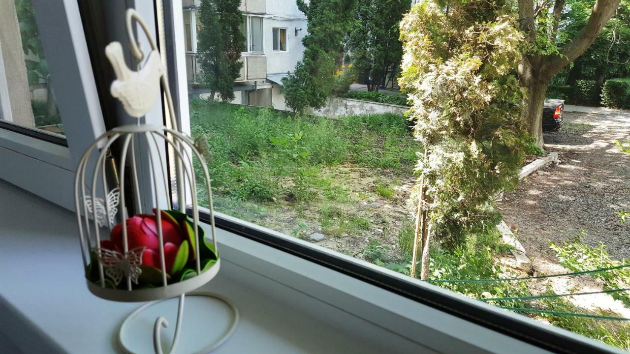 Apartament D&O Boemia Timișoara Zewnętrze zdjęcie